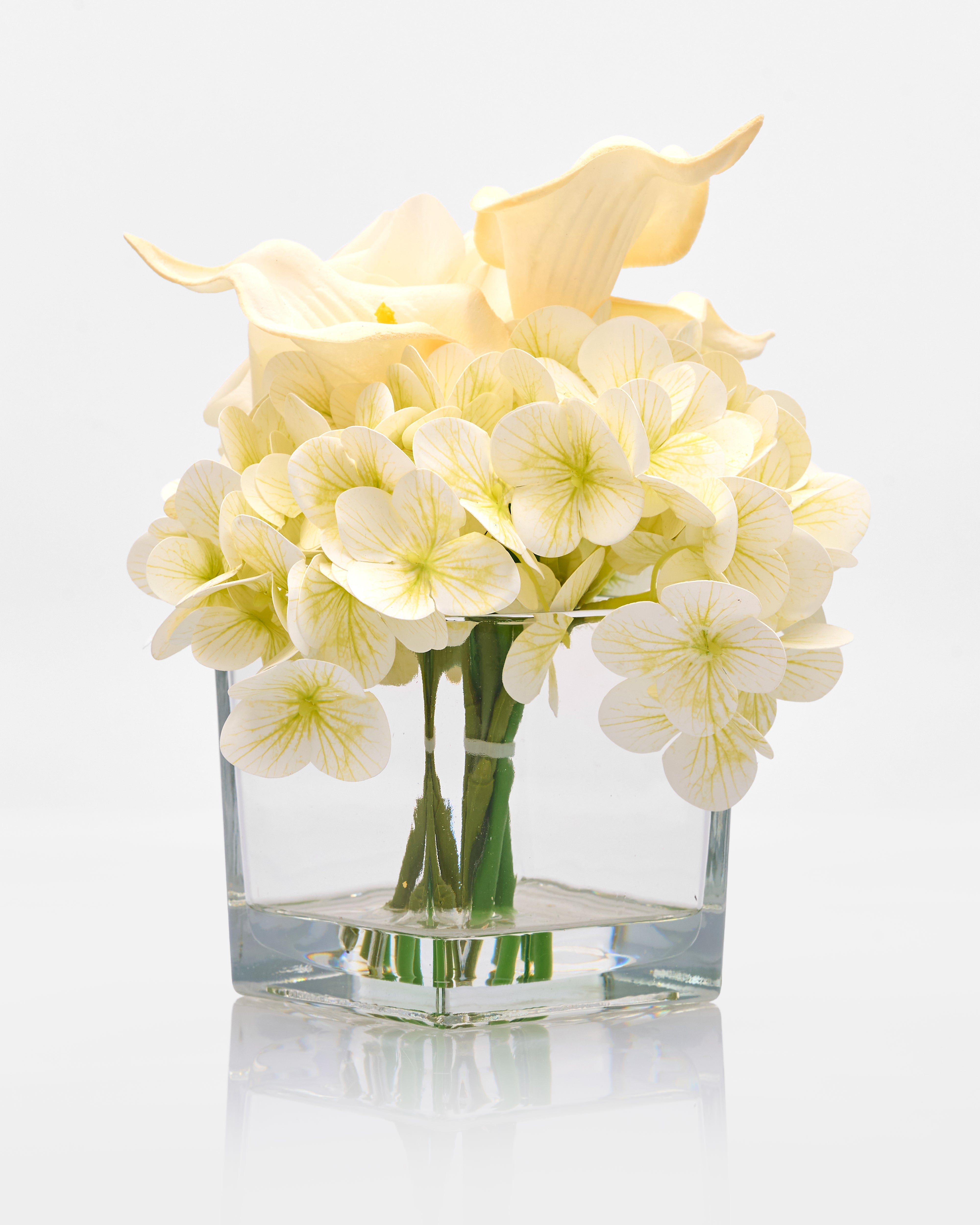 Clear glass vase with white flowers on a white background