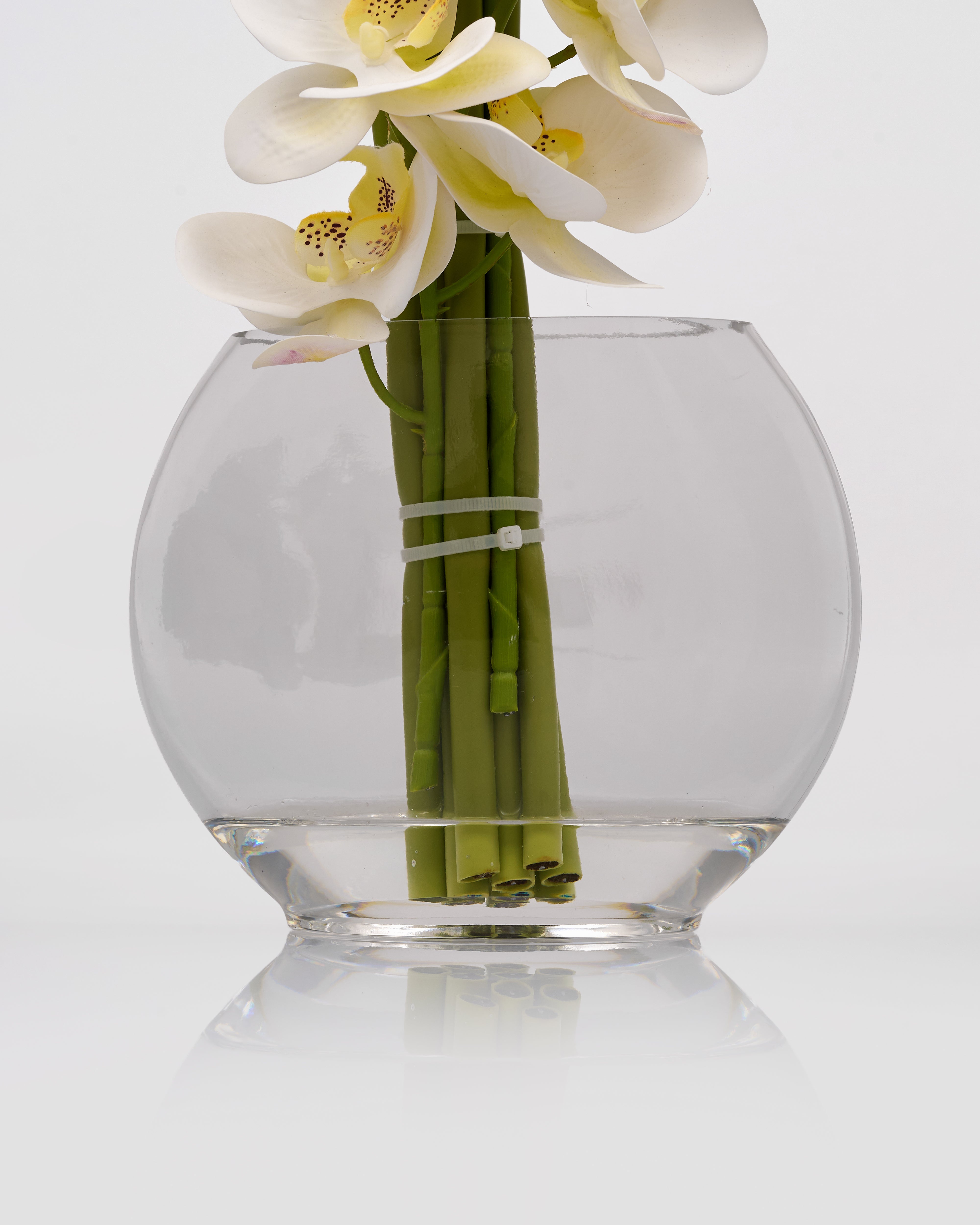 Clear glass vase with white orchids on a white background