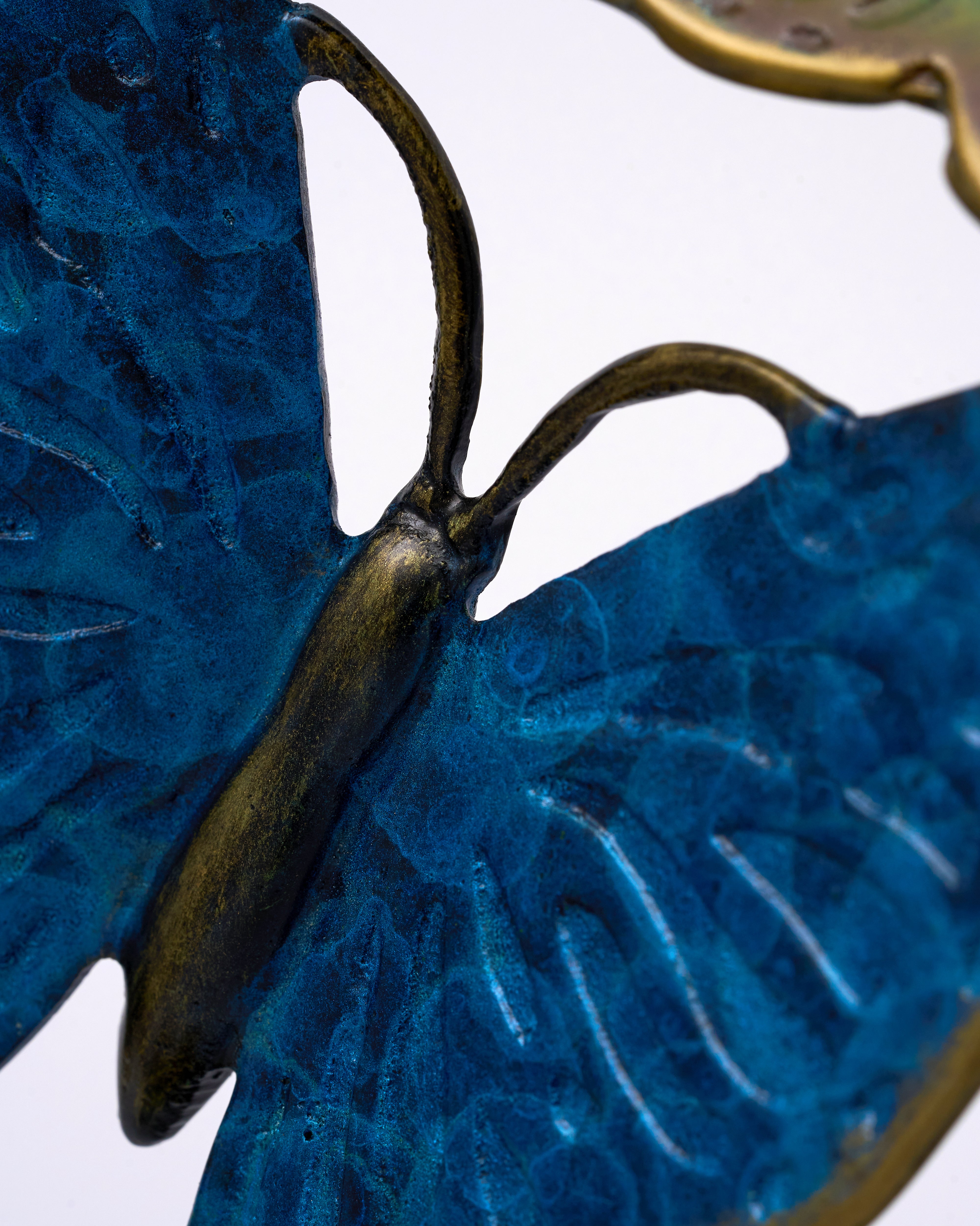 Close-up of a blue butterfly with detailed wings on a white background
