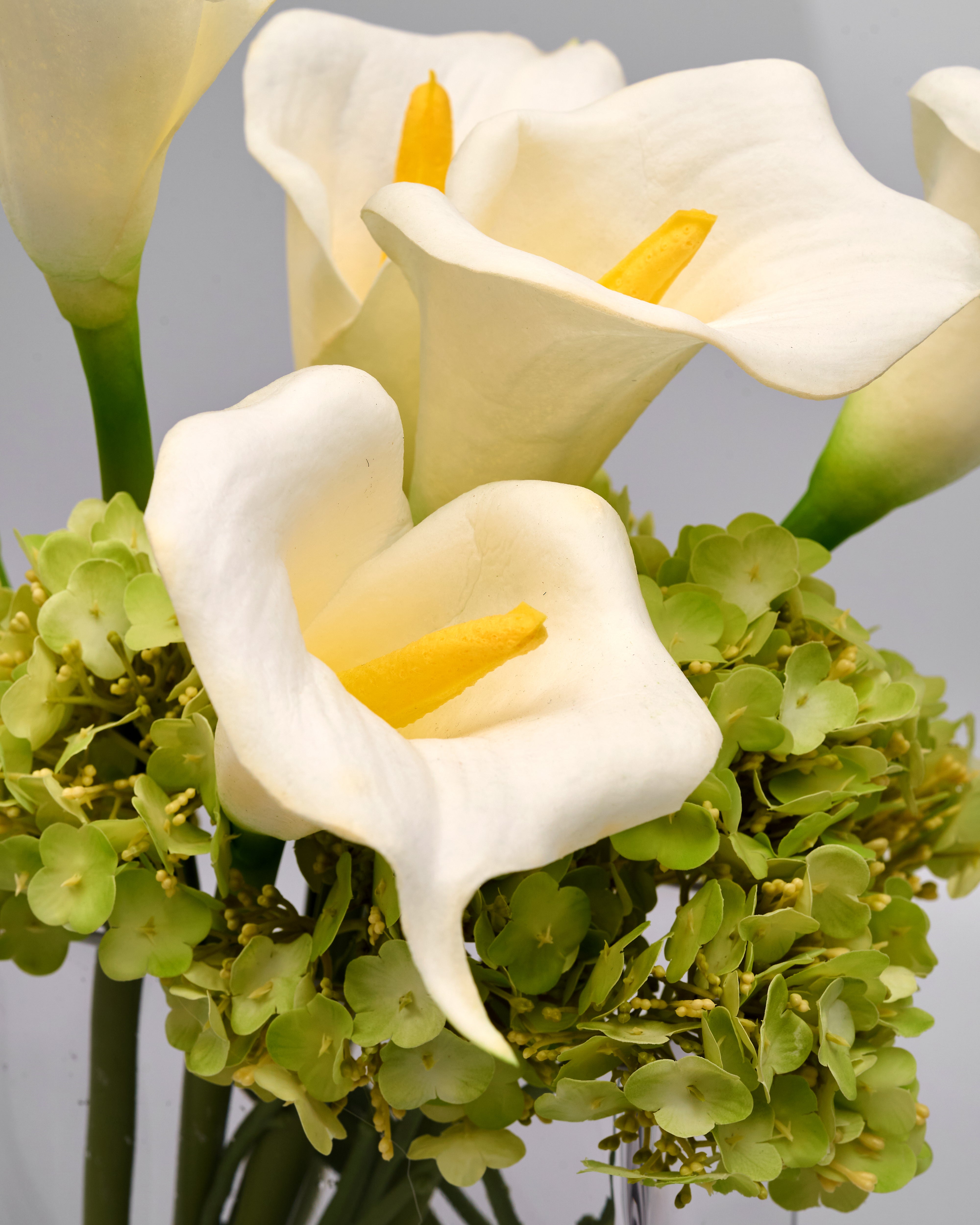 Bouquet of white calla lilies with green foliage on a gray background