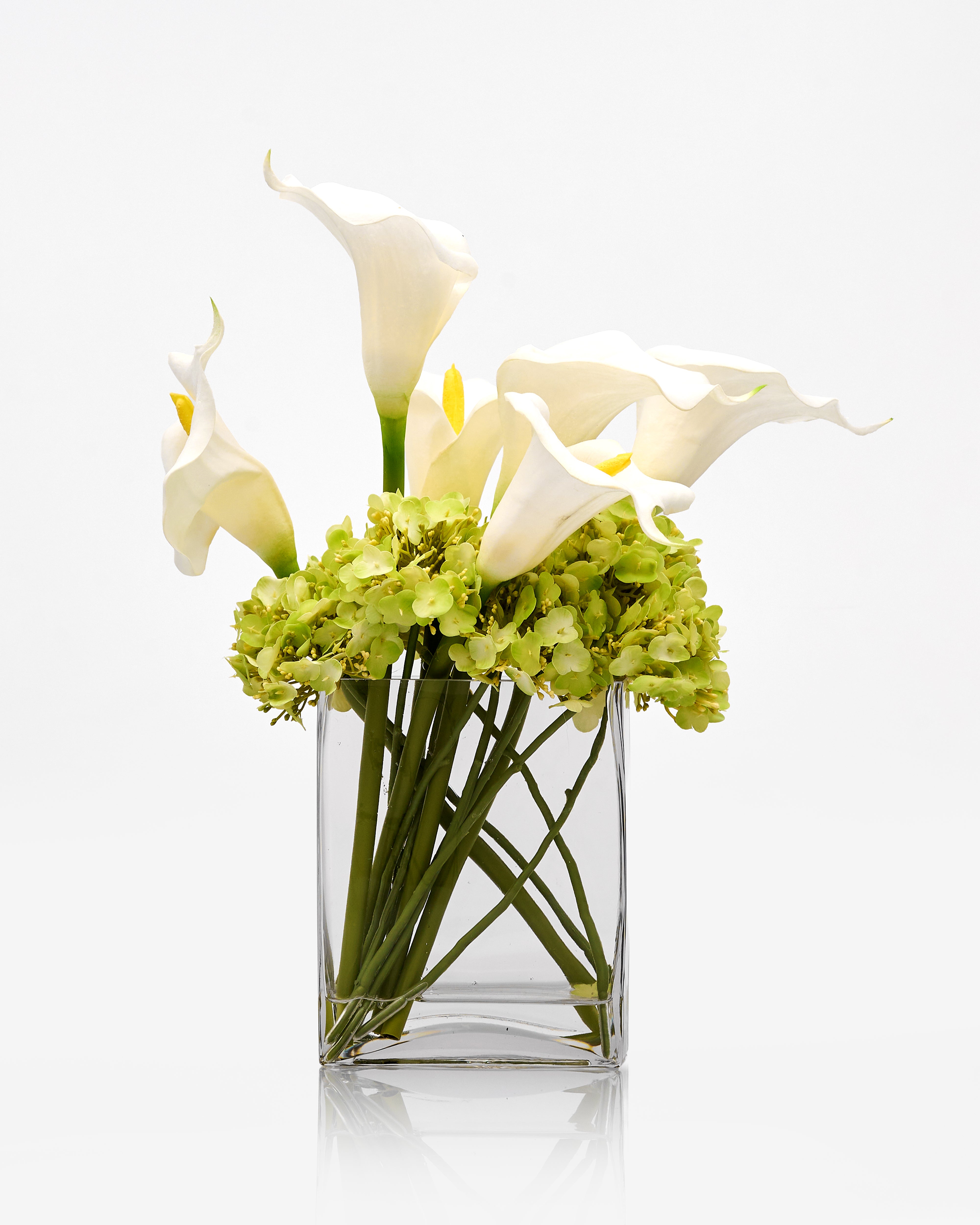 Clear glass vase with white calla lilies and green hydrangeas on a white background