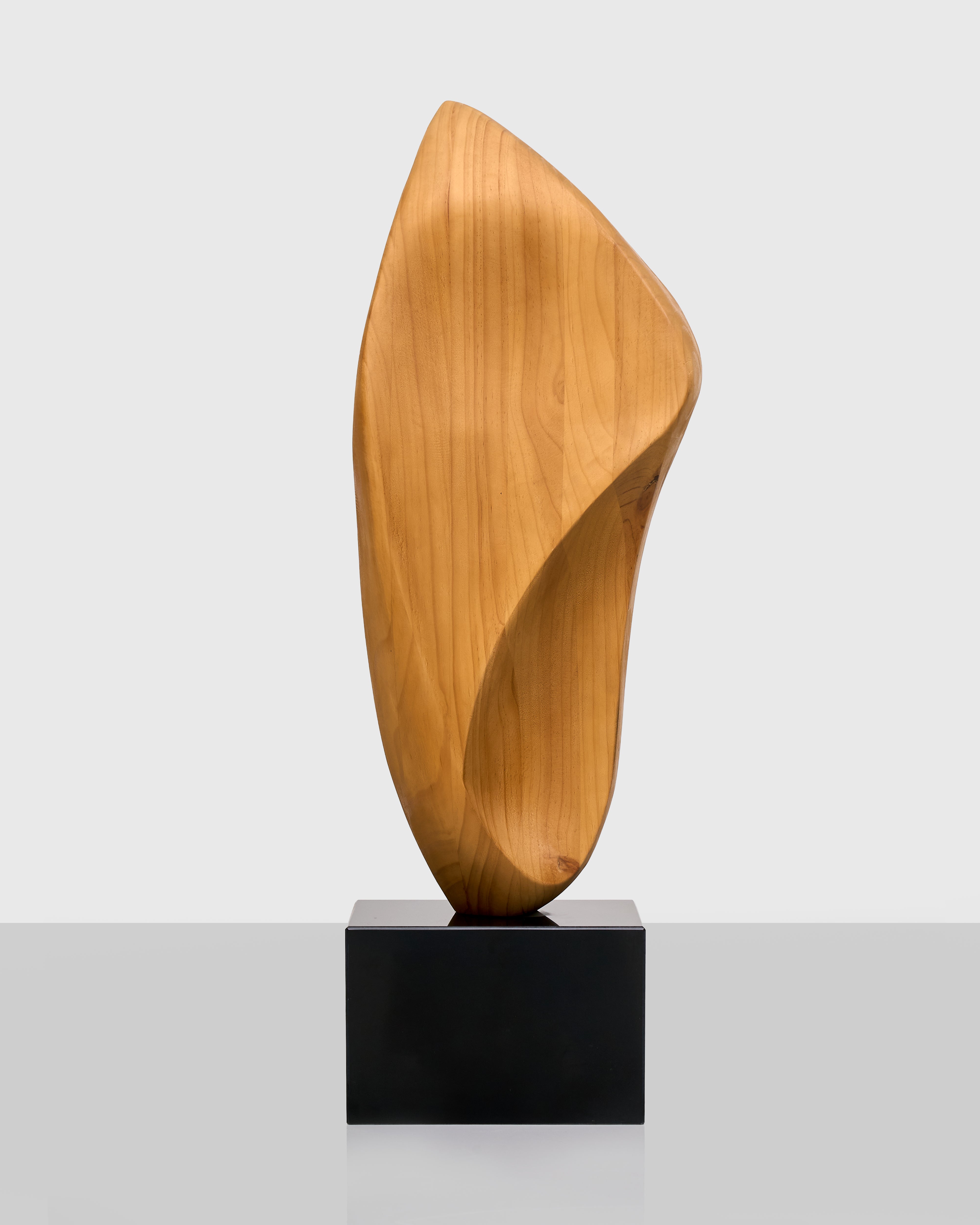 Facio Abstract Wooden Sculpture - Marble Base