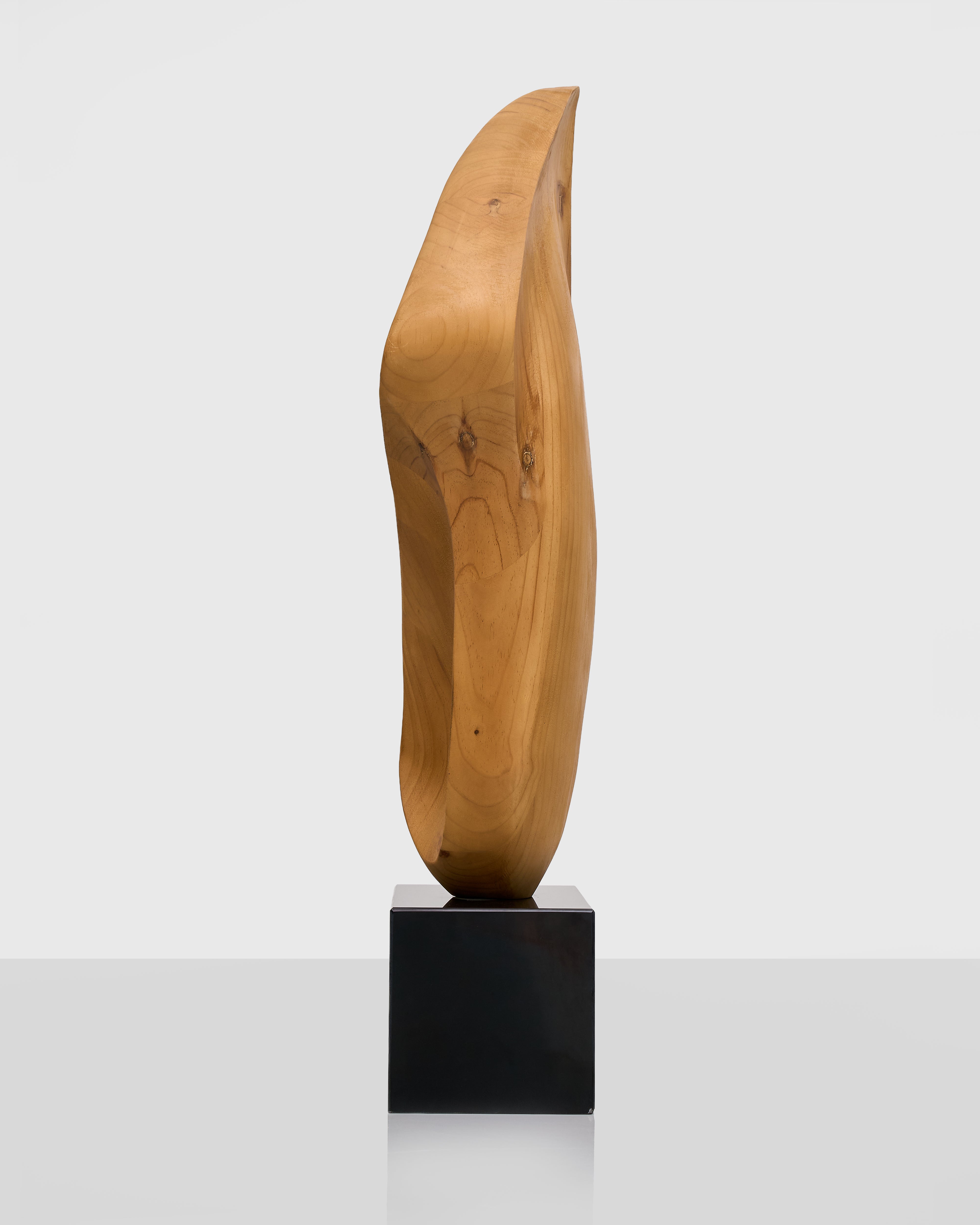 Facio Abstract Wooden Sculpture - Marble Base