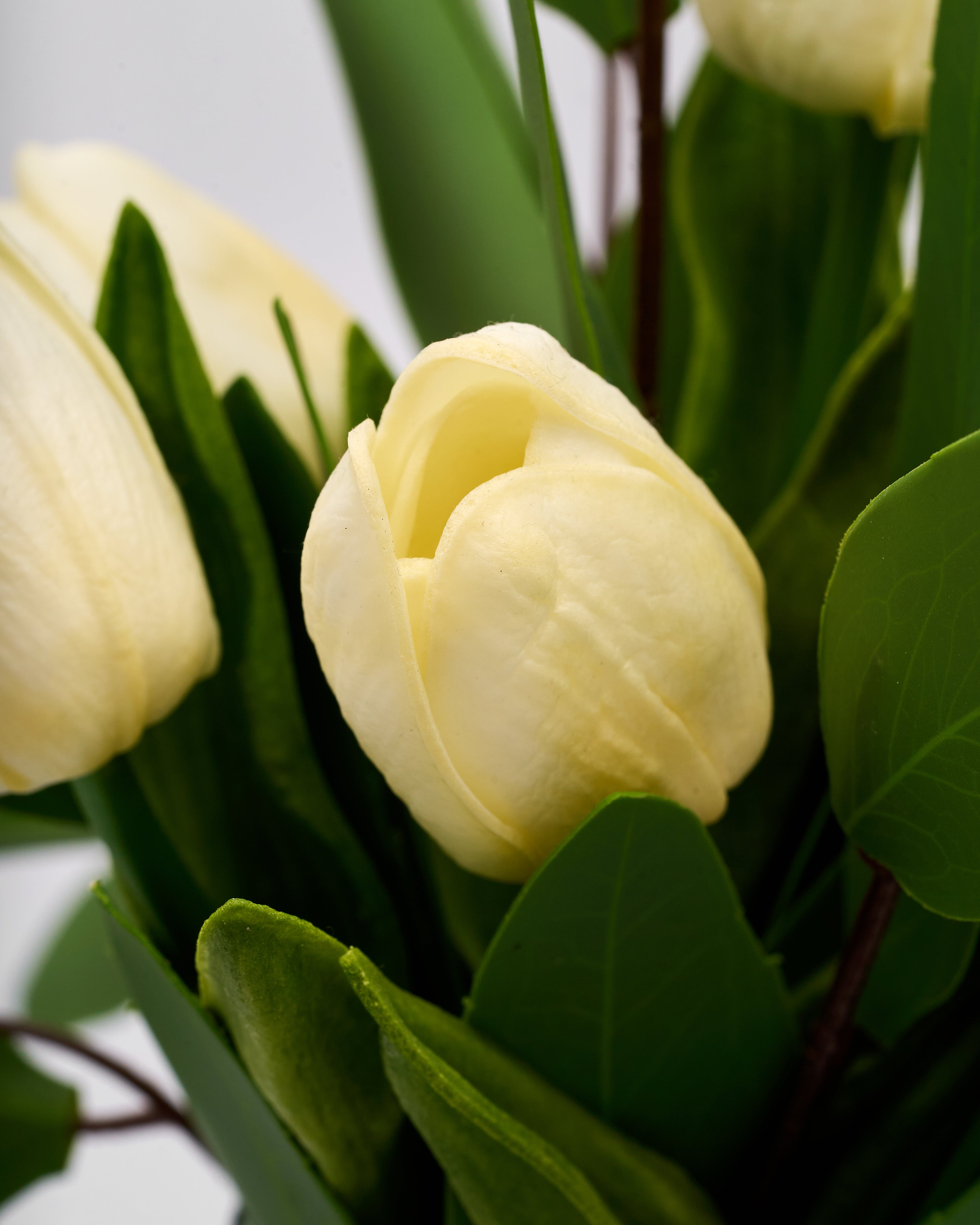 Close-up of a yellow tulip with green leaves on a blurred background