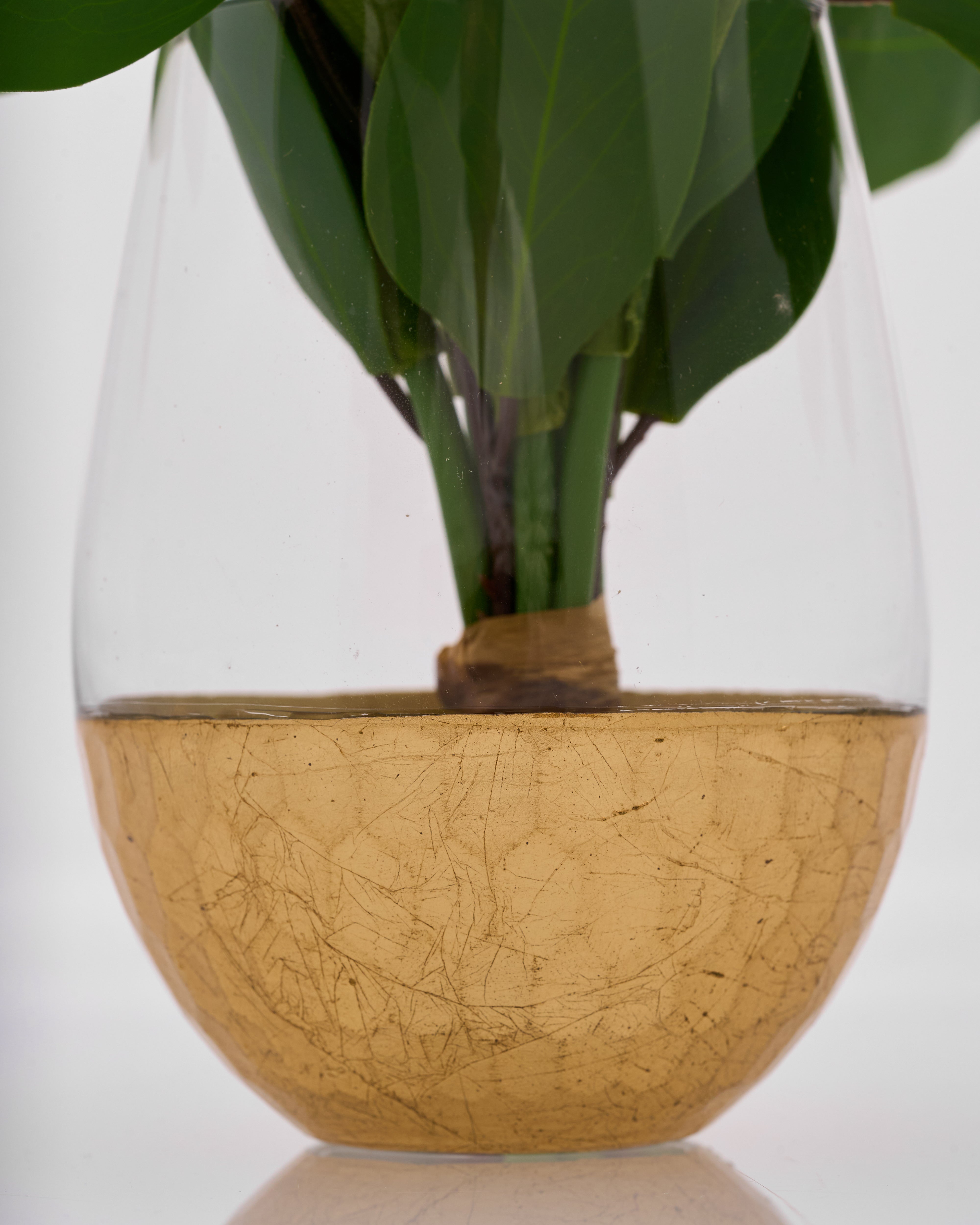 Glass vase with wooden base containing a potted plant on a white background