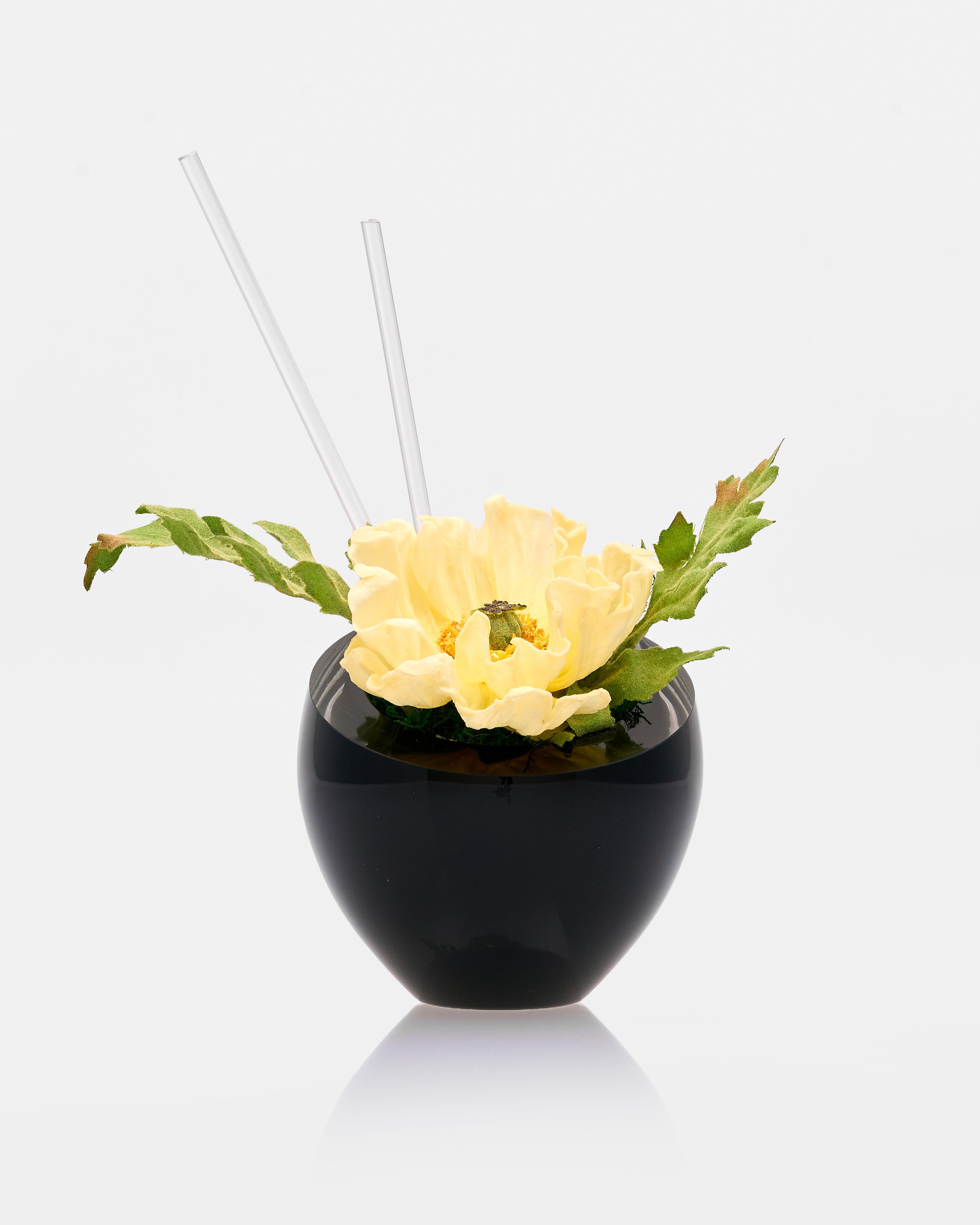 Decorative black vase with a yellow flower and green leaves on a white background