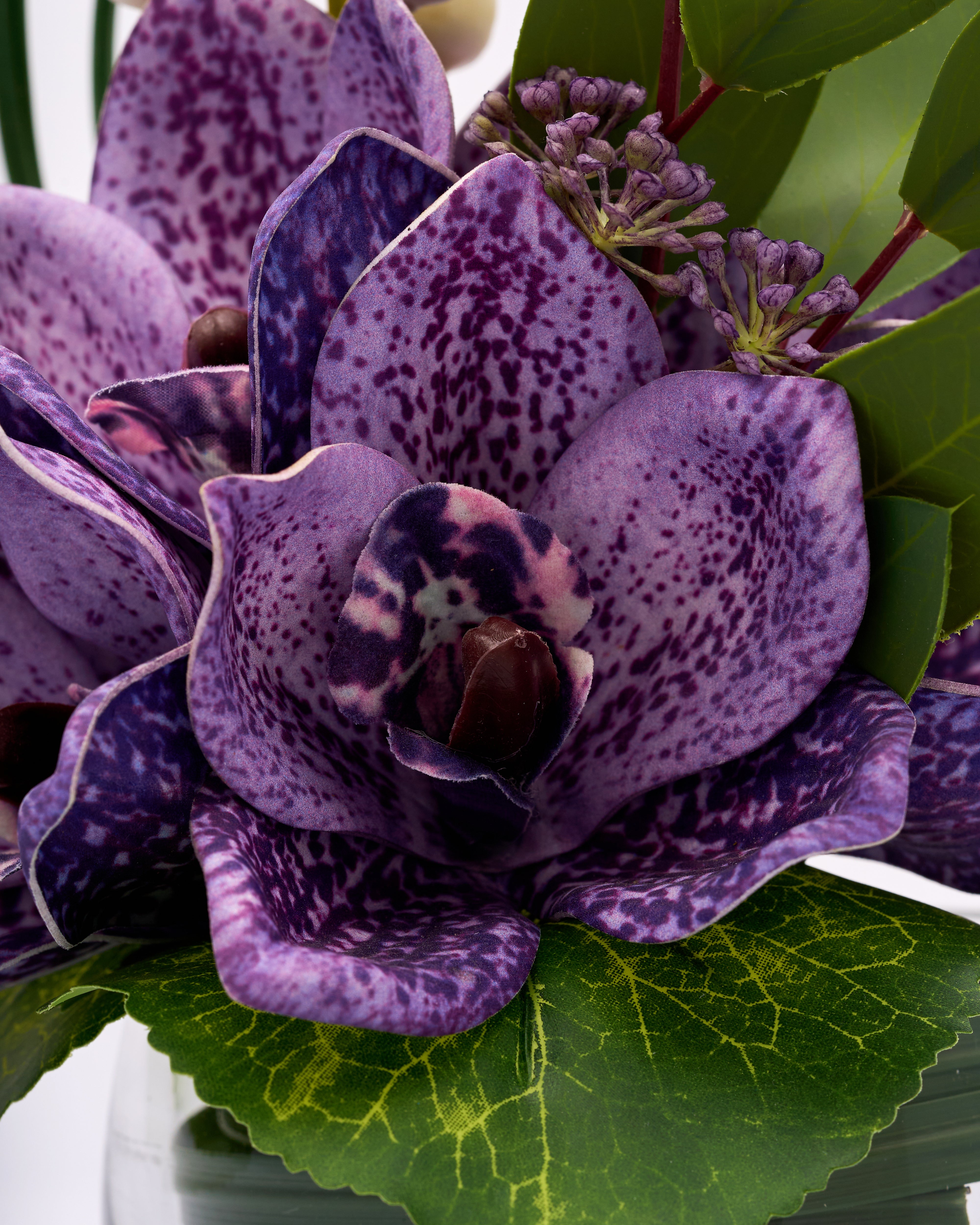 Close-up of a purple flower with green leaves on a blurred background