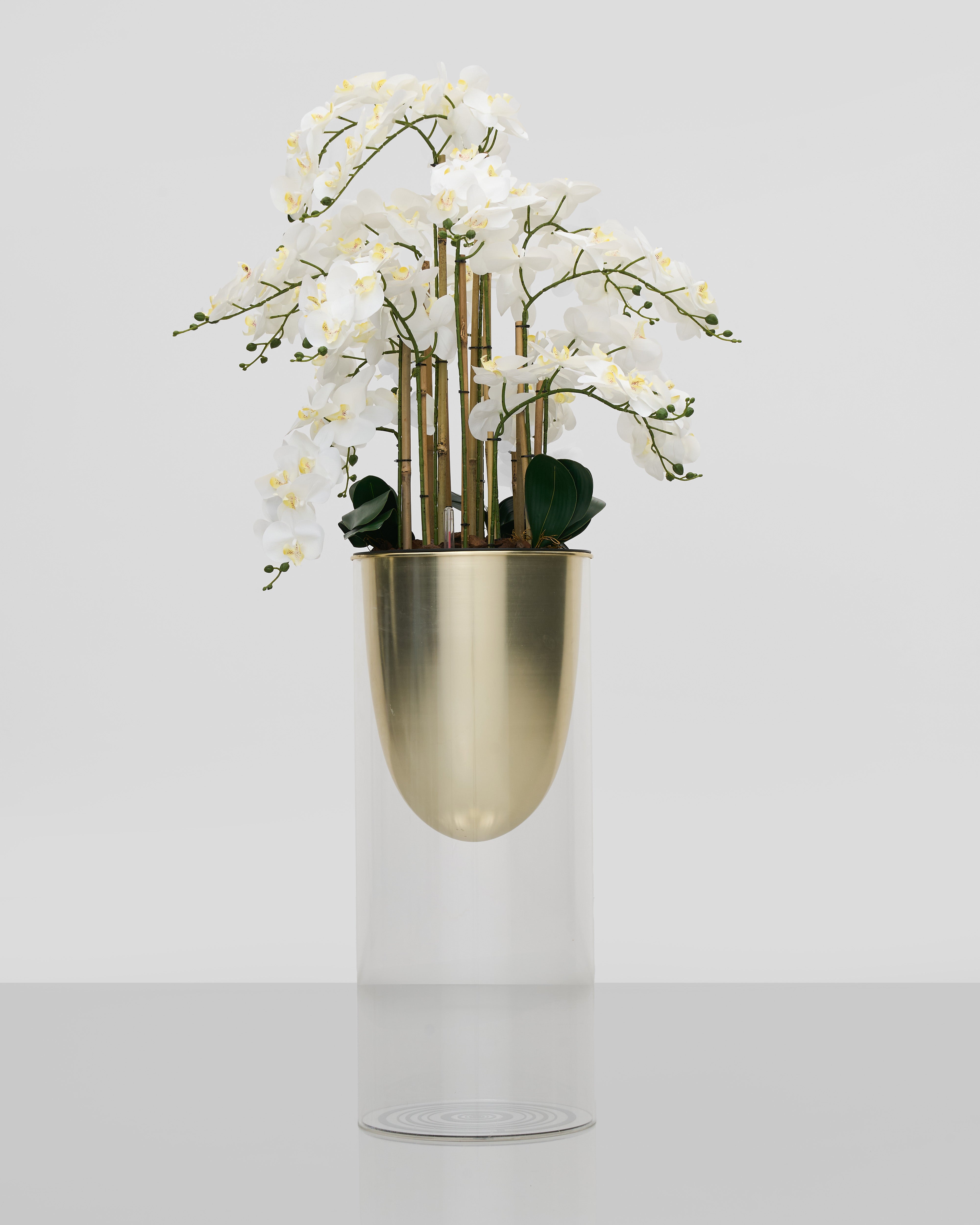 Gold vase with white flowers on a light gray background