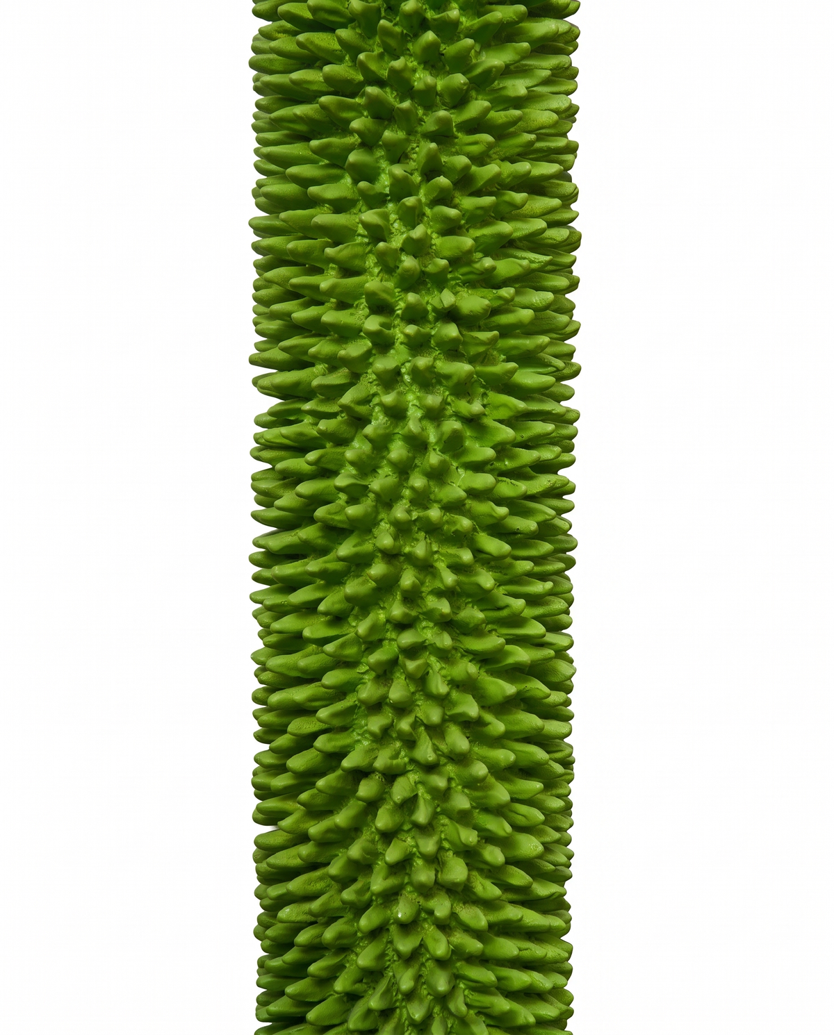 Moss Spire Long Mirror