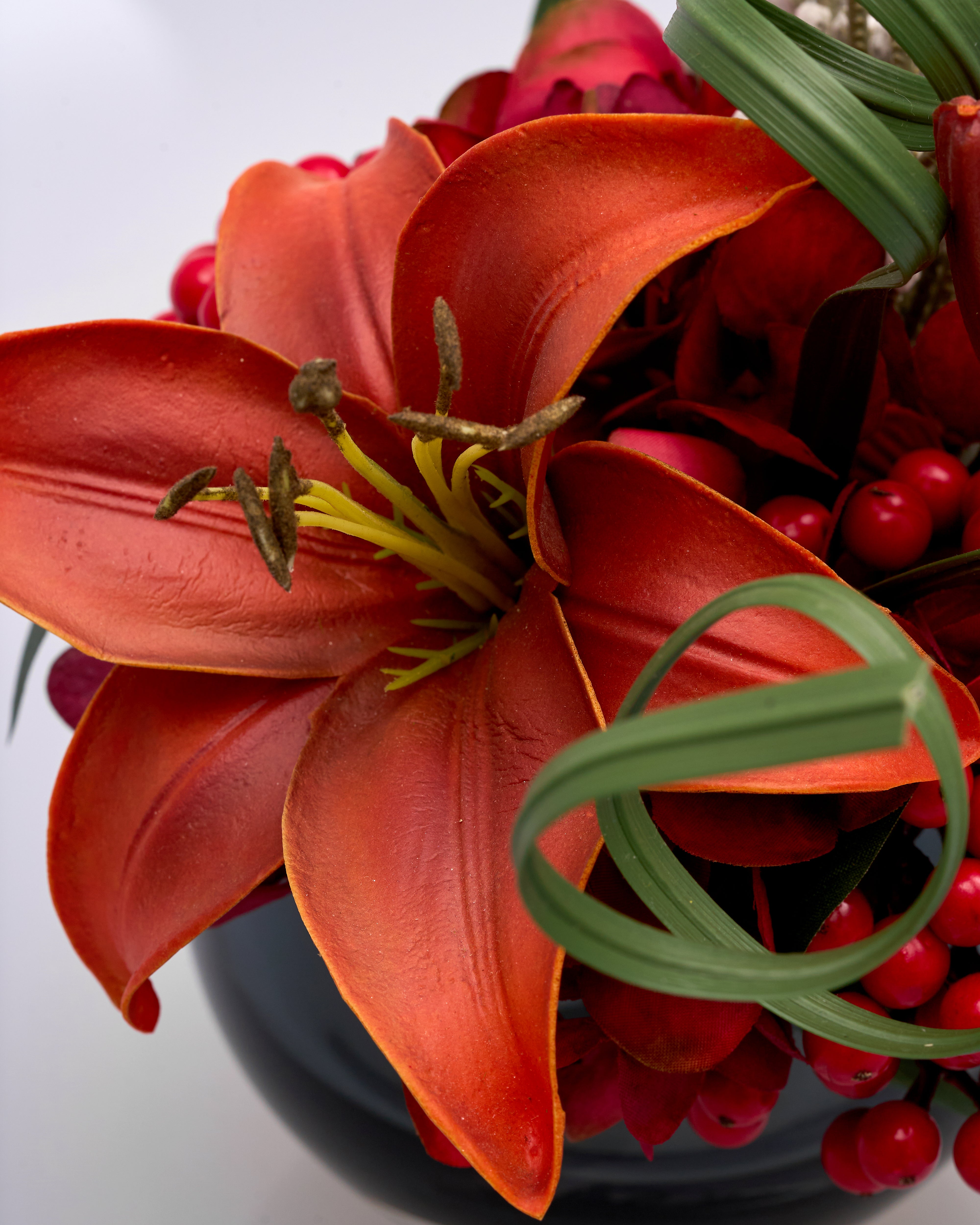 Close-up of a red flower with green leaves and red berries on a white background
