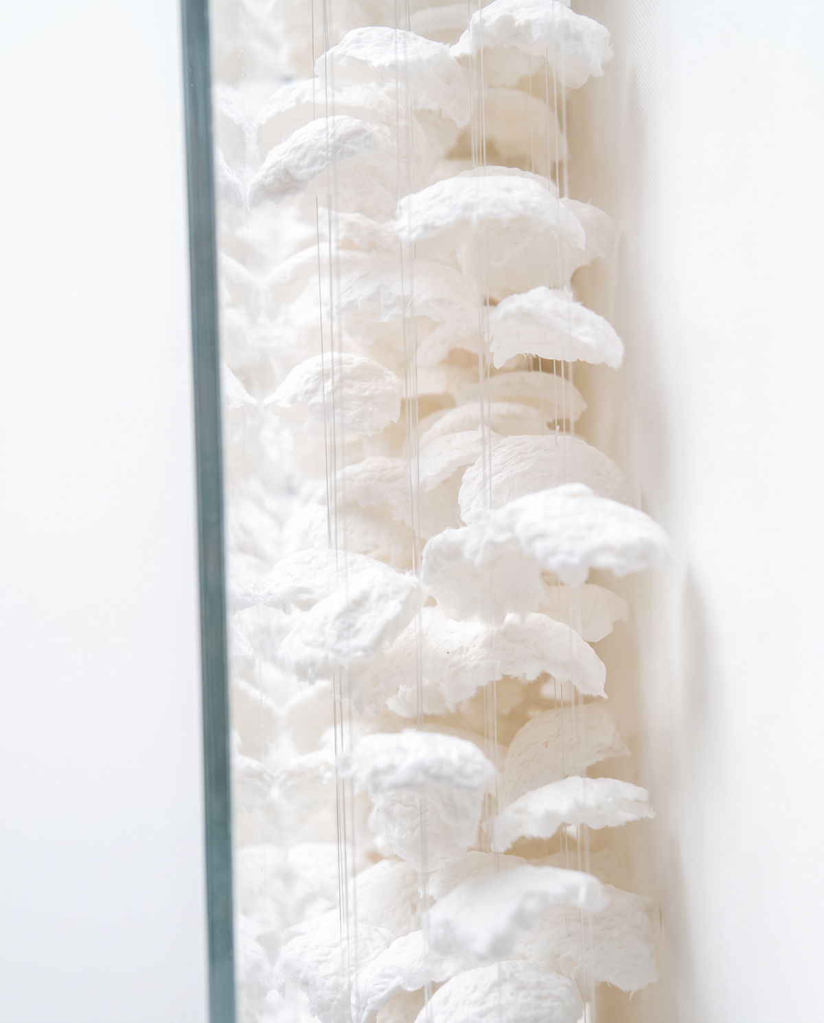 The Floating Bower Modern Luxury Wallart