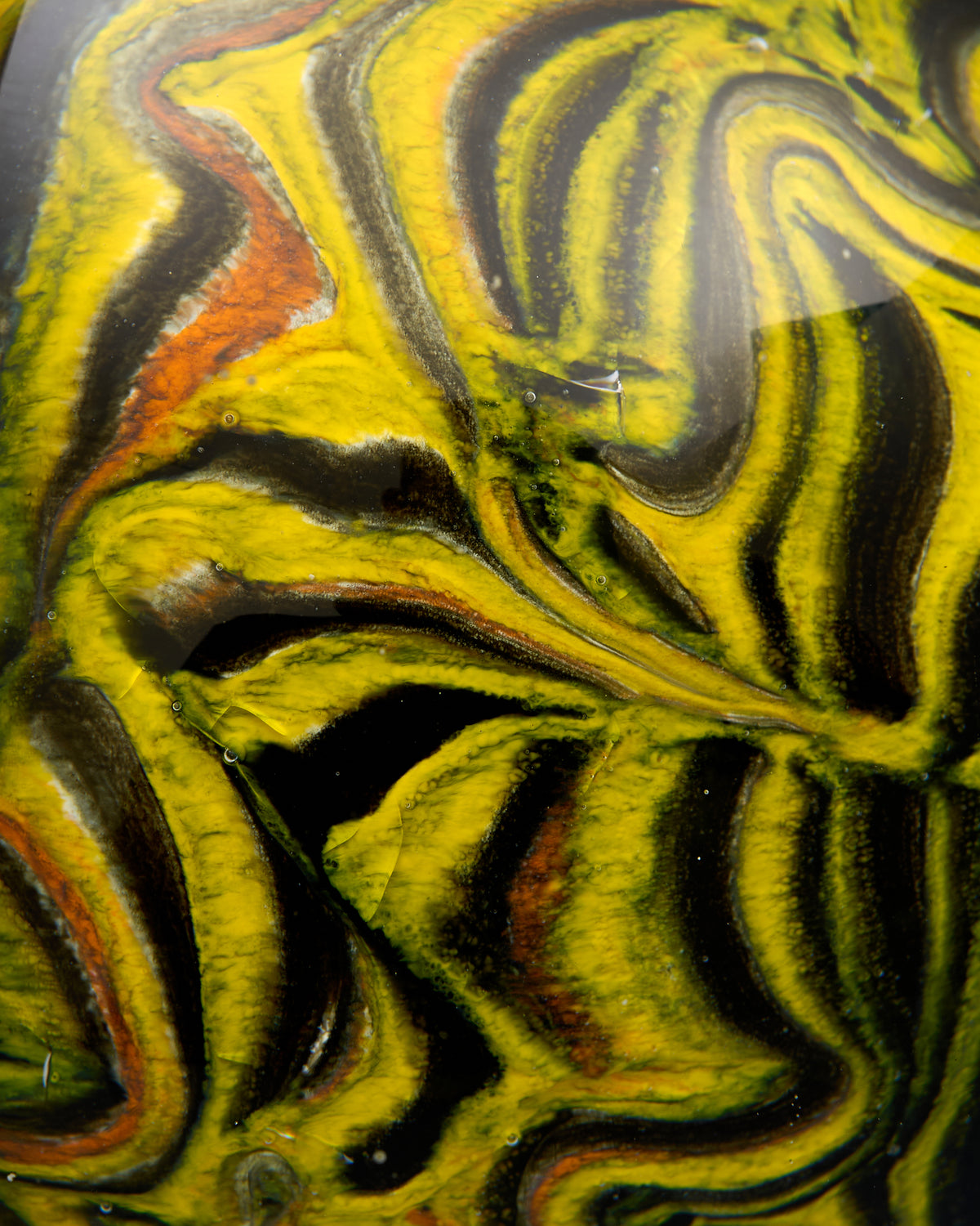 Velvet Jungle Crystal Glass Decor