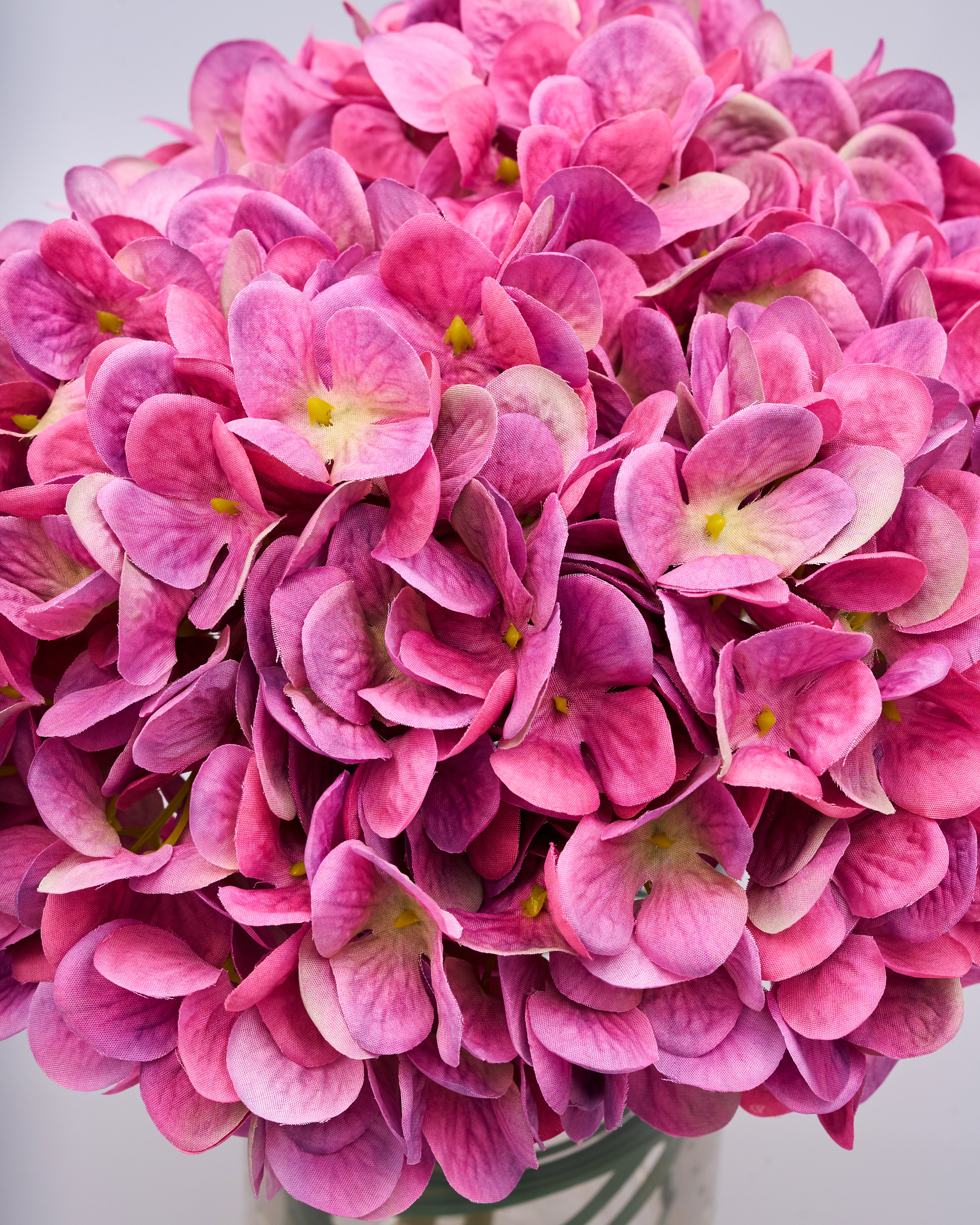 Close-up of pink hydrangea flowers in a vase on a light background