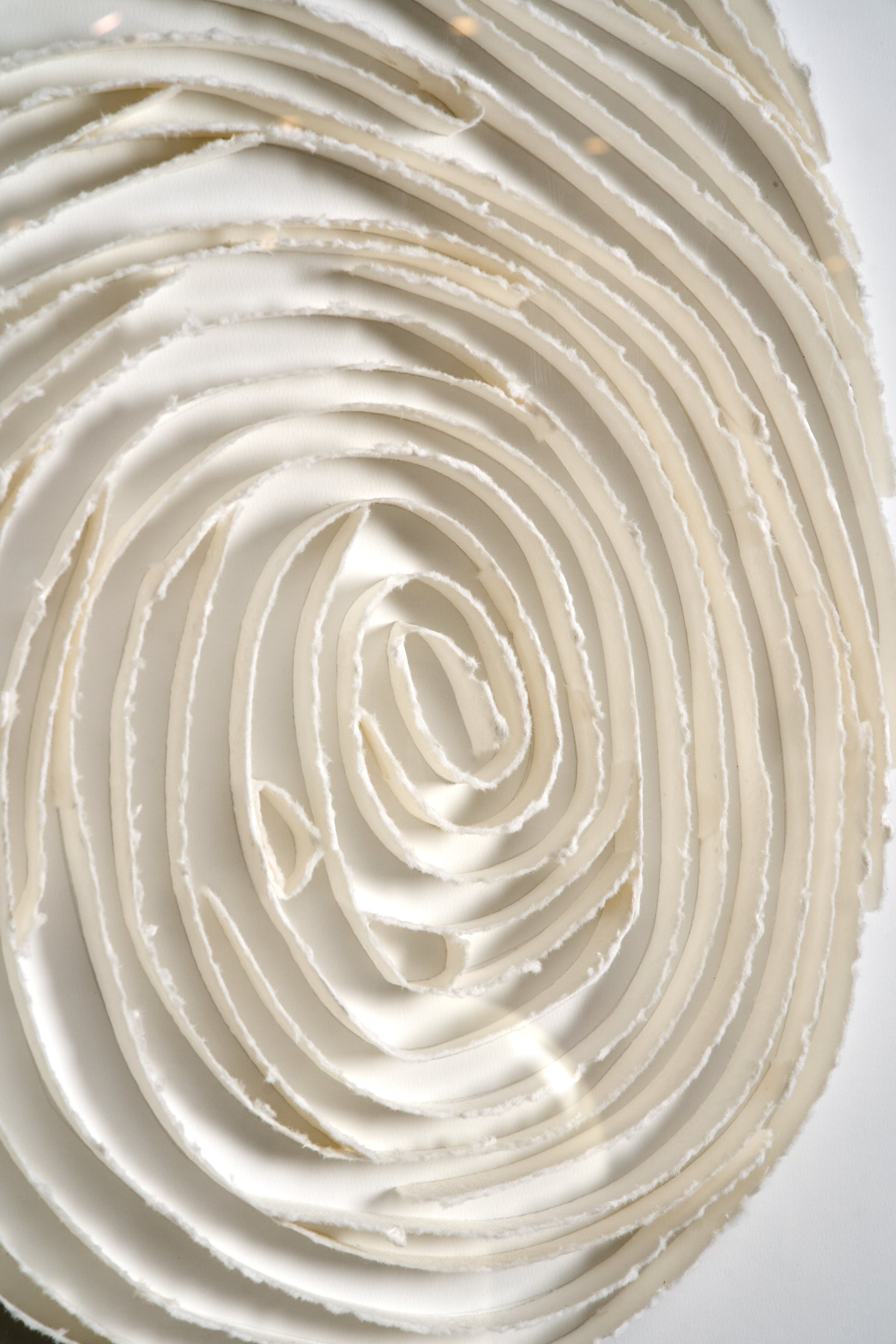 Ivory Imprint Duo - Abstract Wallart