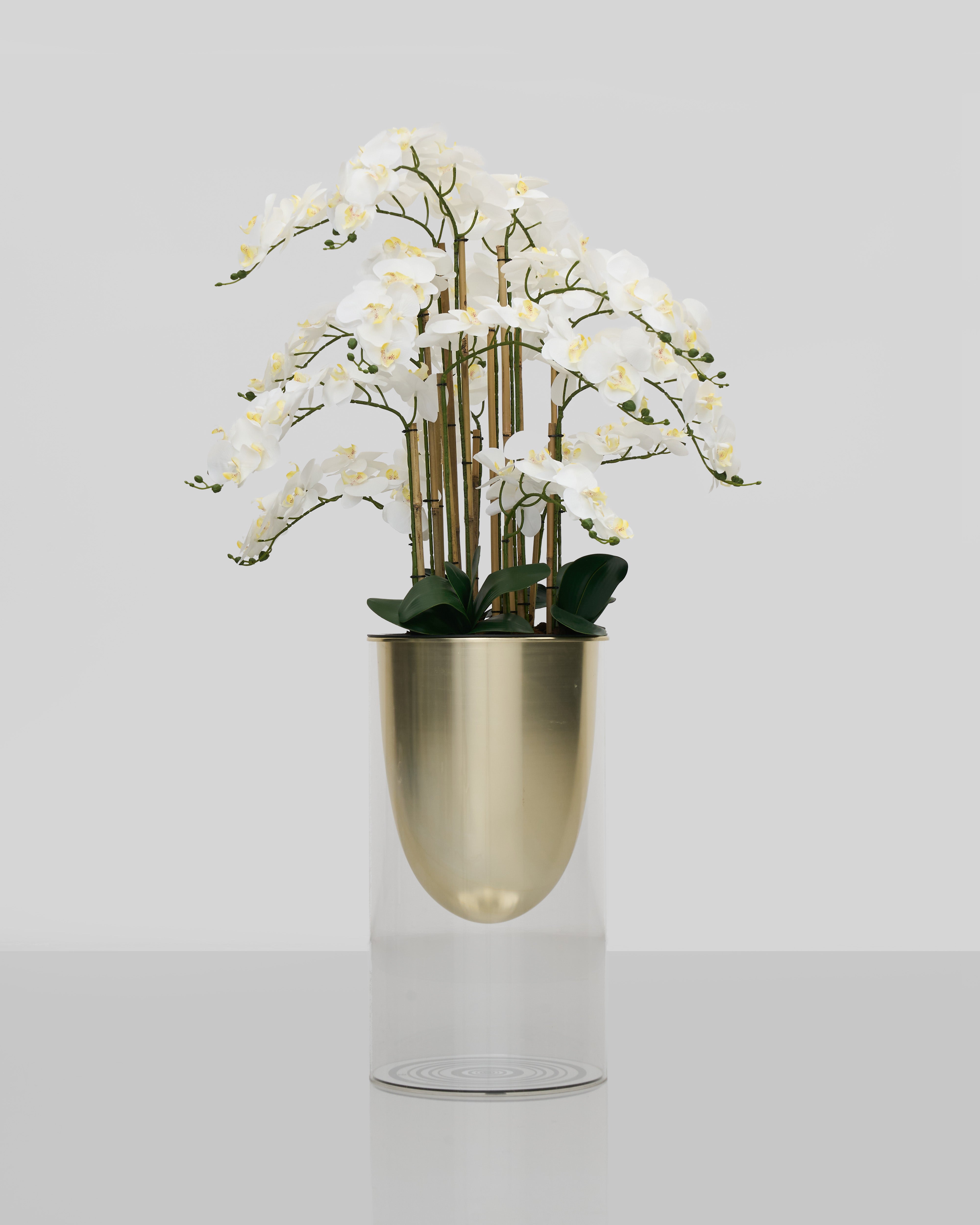 Decorative plant in a gold and clear vase on a light gray background