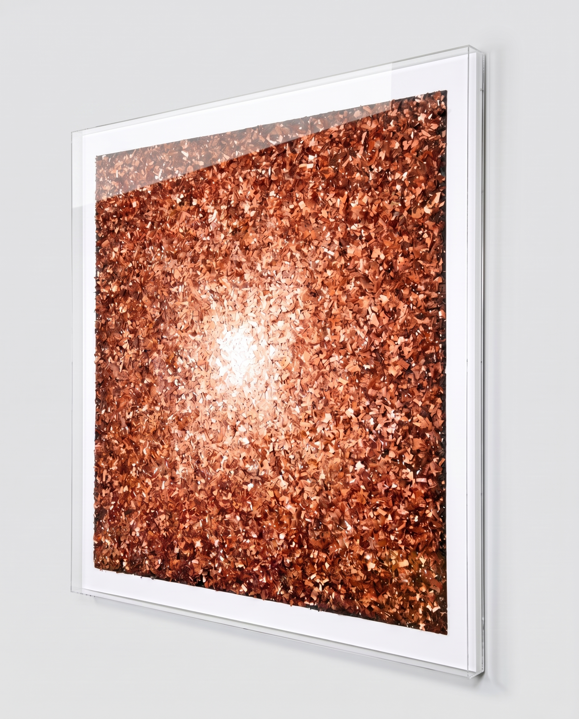 Solstice Bloom - Creative Luxury Wallart