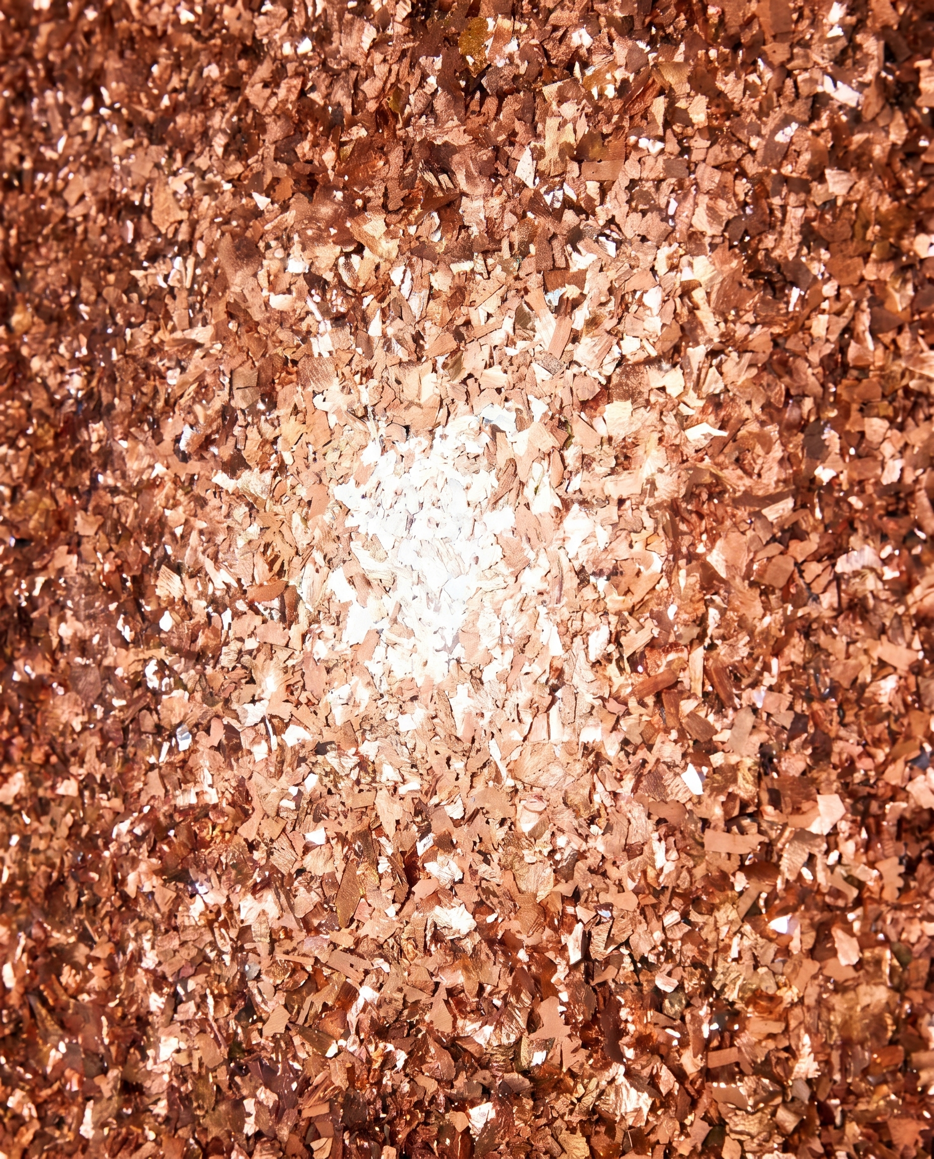 Solstice Bloom - Creative Luxury Wallart