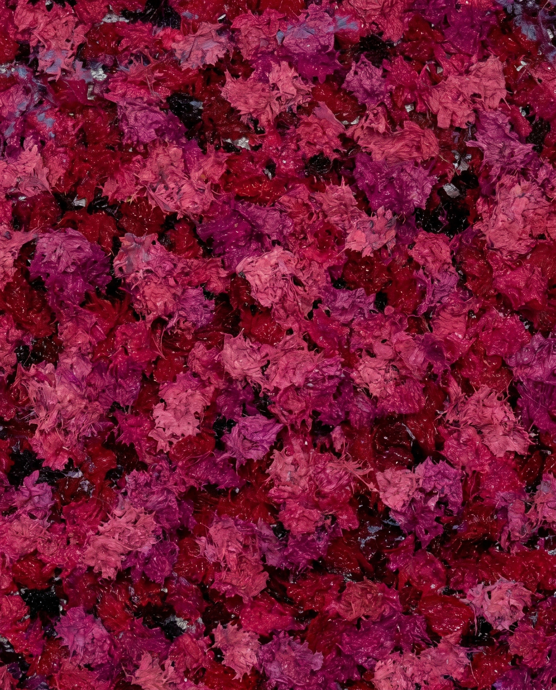 The Blush Bloom - Modern Luxury Blossom Wallart