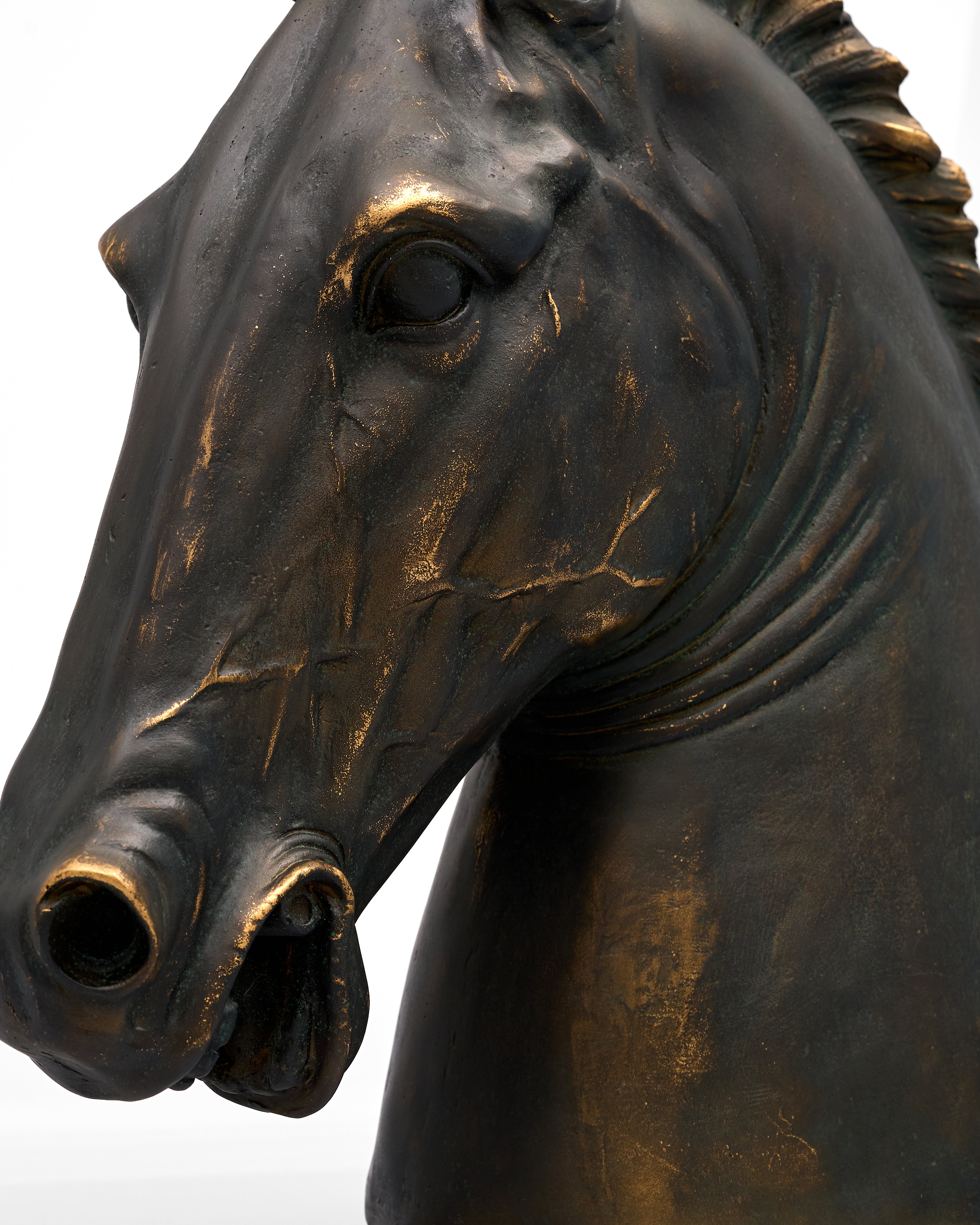 Timber Majesty Horse Head Resin Sculpture